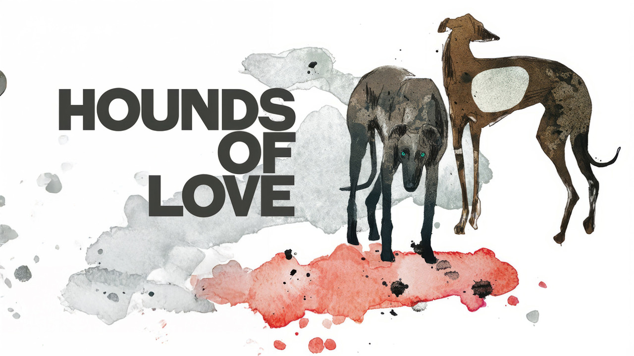 Hounds of Love
